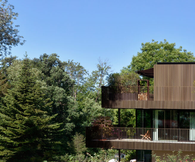 Living in the woods